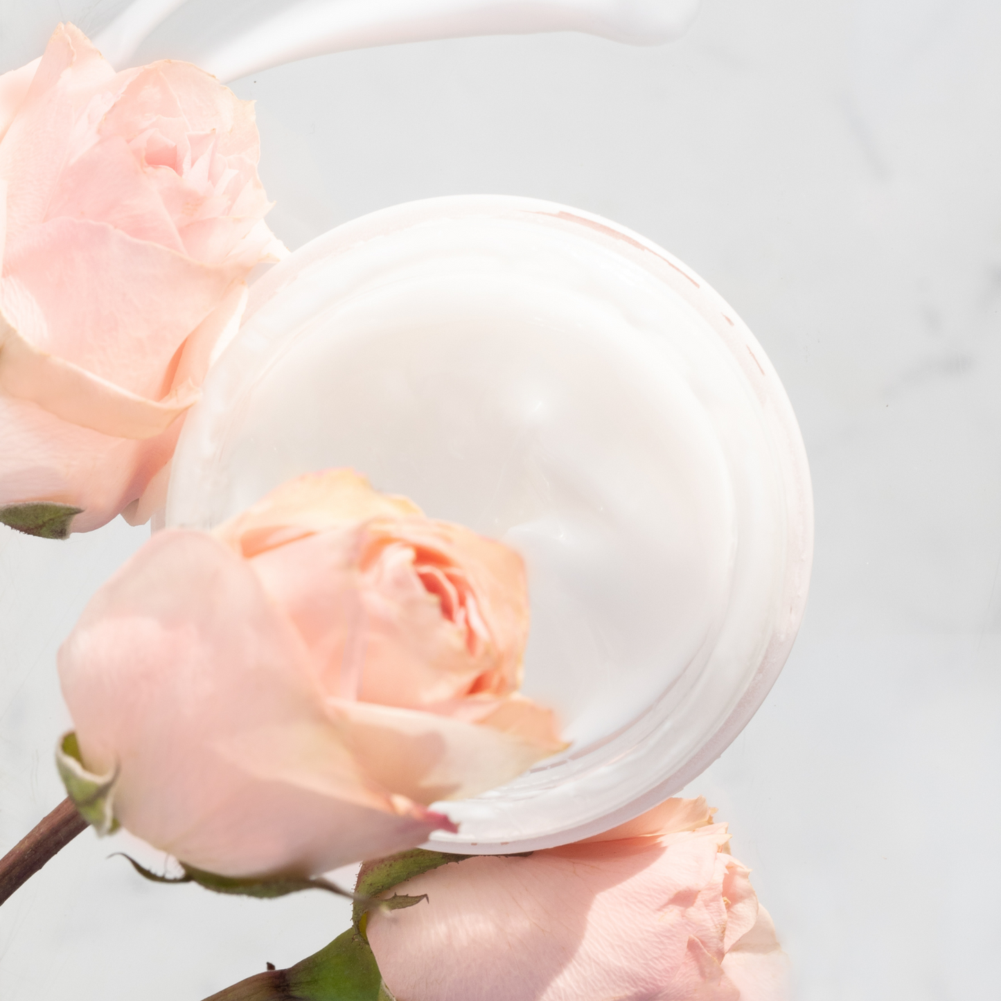 Rose Renewal 24/7 Ceramide and Tri-peptide Moisturizer